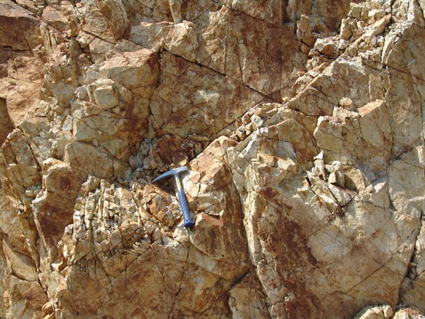 Oxidized fractures in granodiorite.